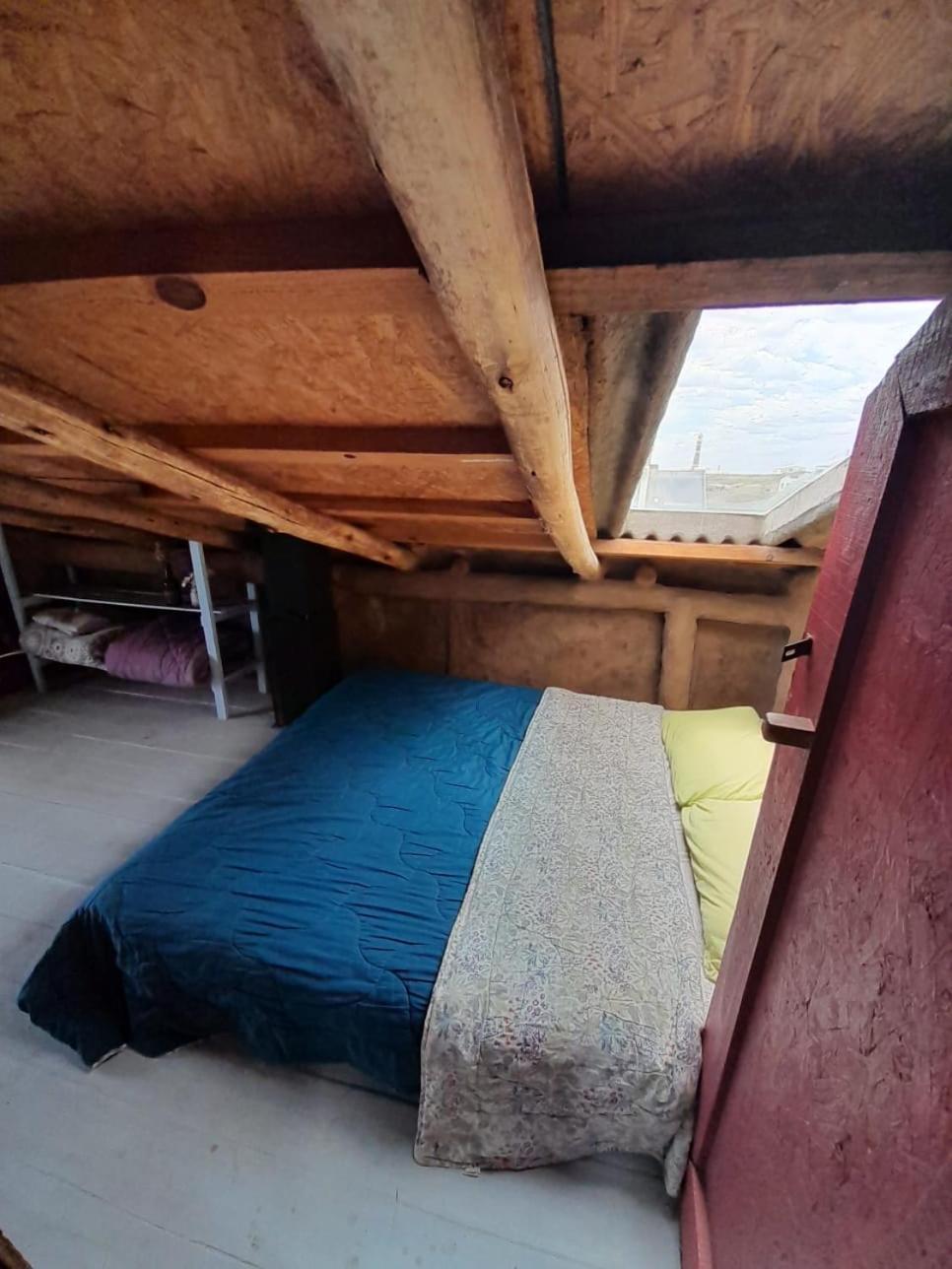 Lobo Hostel Bar 카보 폴로니오 외부 사진