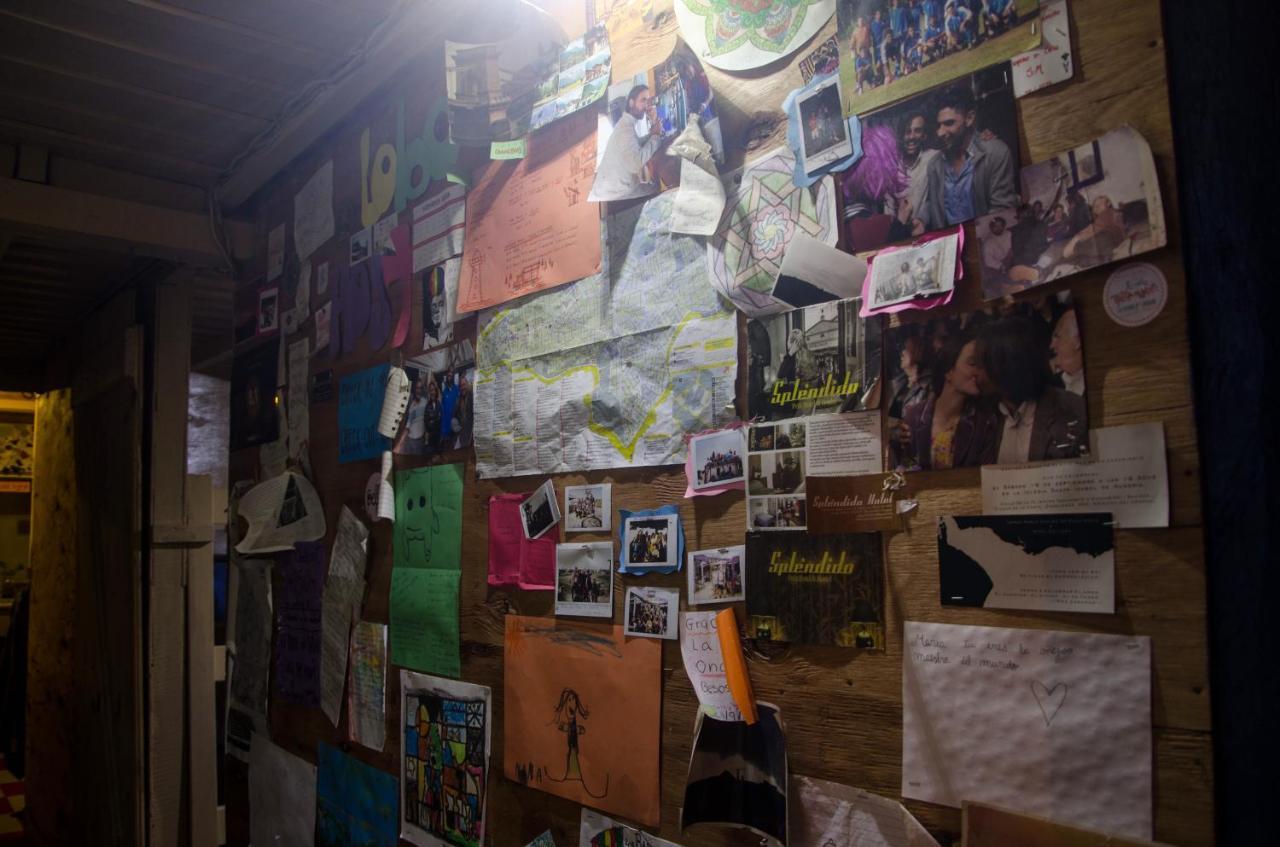 Lobo Hostel Bar 카보 폴로니오 외부 사진
