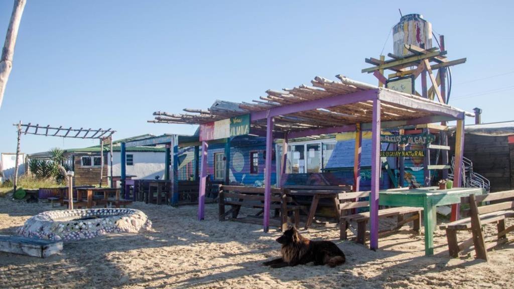 Lobo Hostel Bar 카보 폴로니오 외부 사진